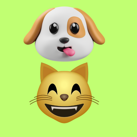 Pet